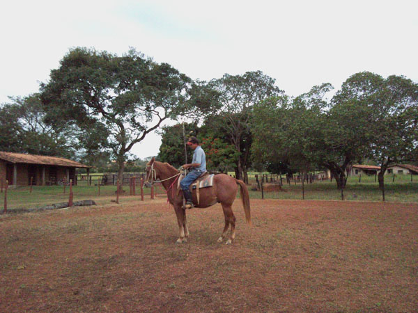 CONHAQUE
