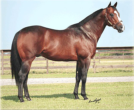 KING CORONA