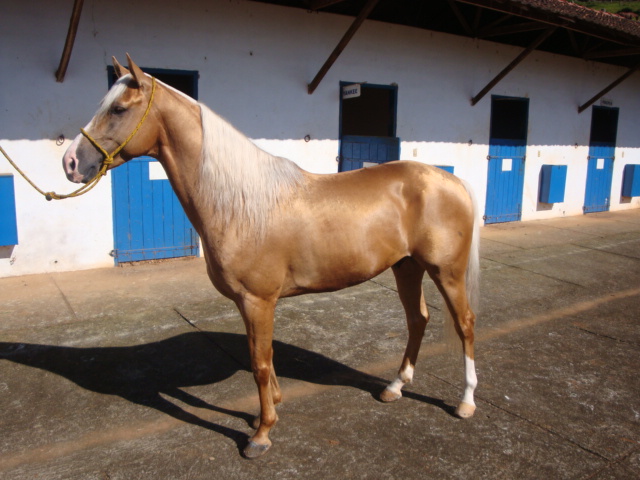 ZARGO