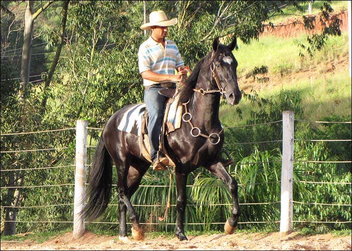 BATUQUE MAIRIFLOR