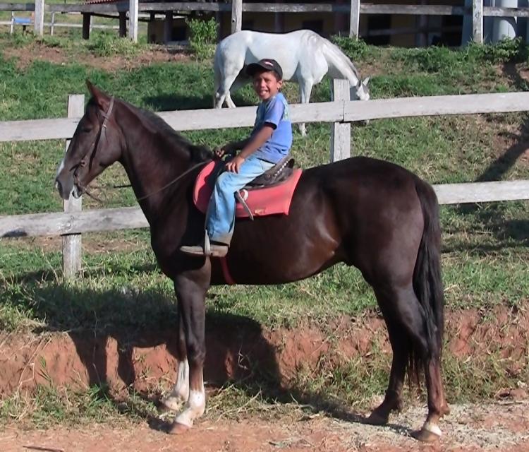 GALANTE DO RANCHO DA SERRA
