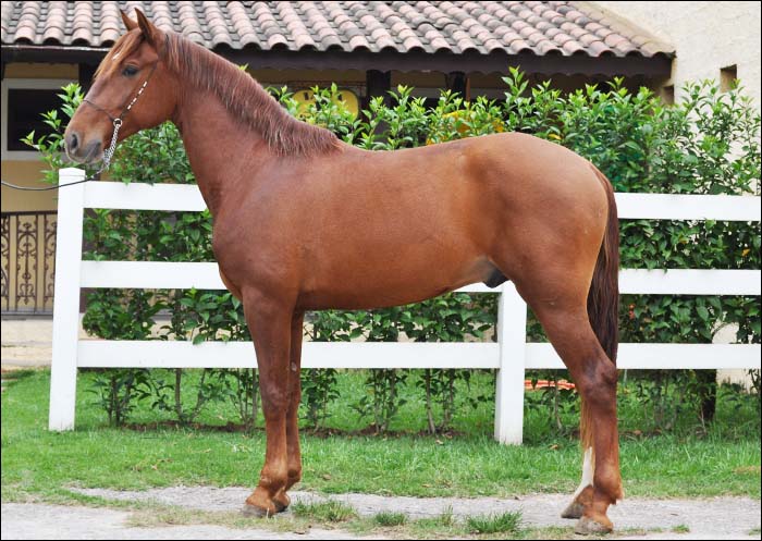 DIGNO AGUILAR