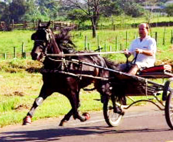 BALA NEGRA AF