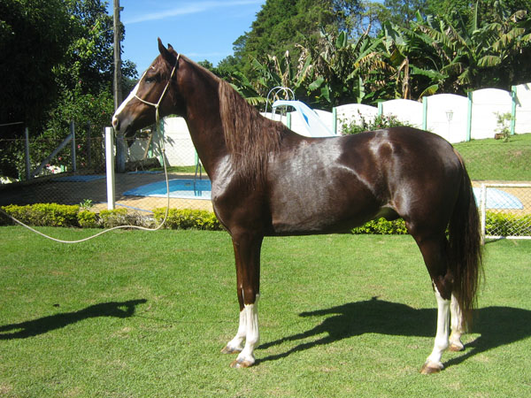 PRÊMIO DA SABAUNA T.E.