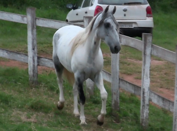 CRISTAL DO RANCHO DA SERRA