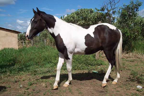 LACRE SUNSET RANCH