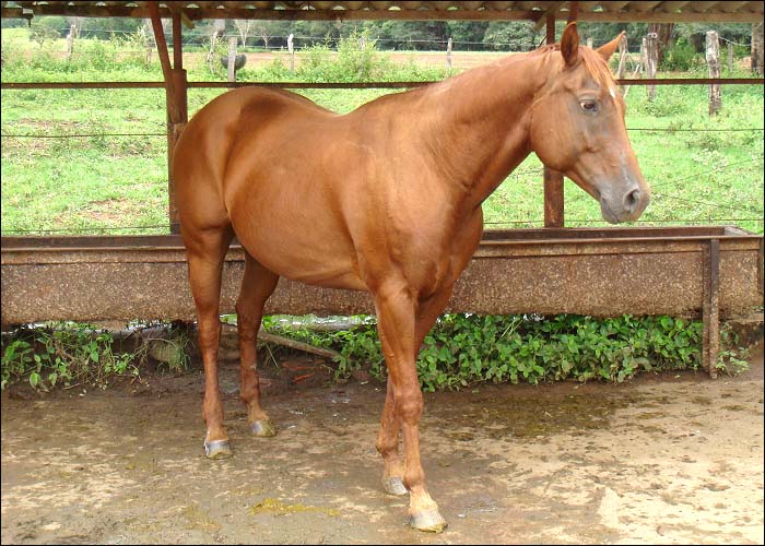CINDERELA BEAUTY