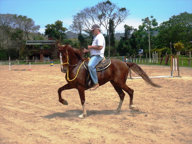 Sem nome Informado - 12286