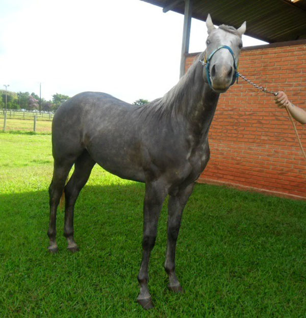 Sem nome Informado - 12280