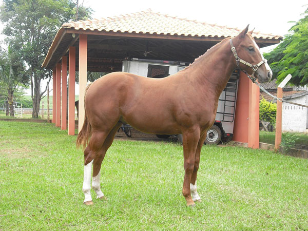 Sem nome Informado - 12254
