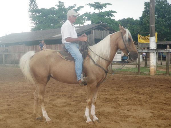 Sem nome Informado - 12194
