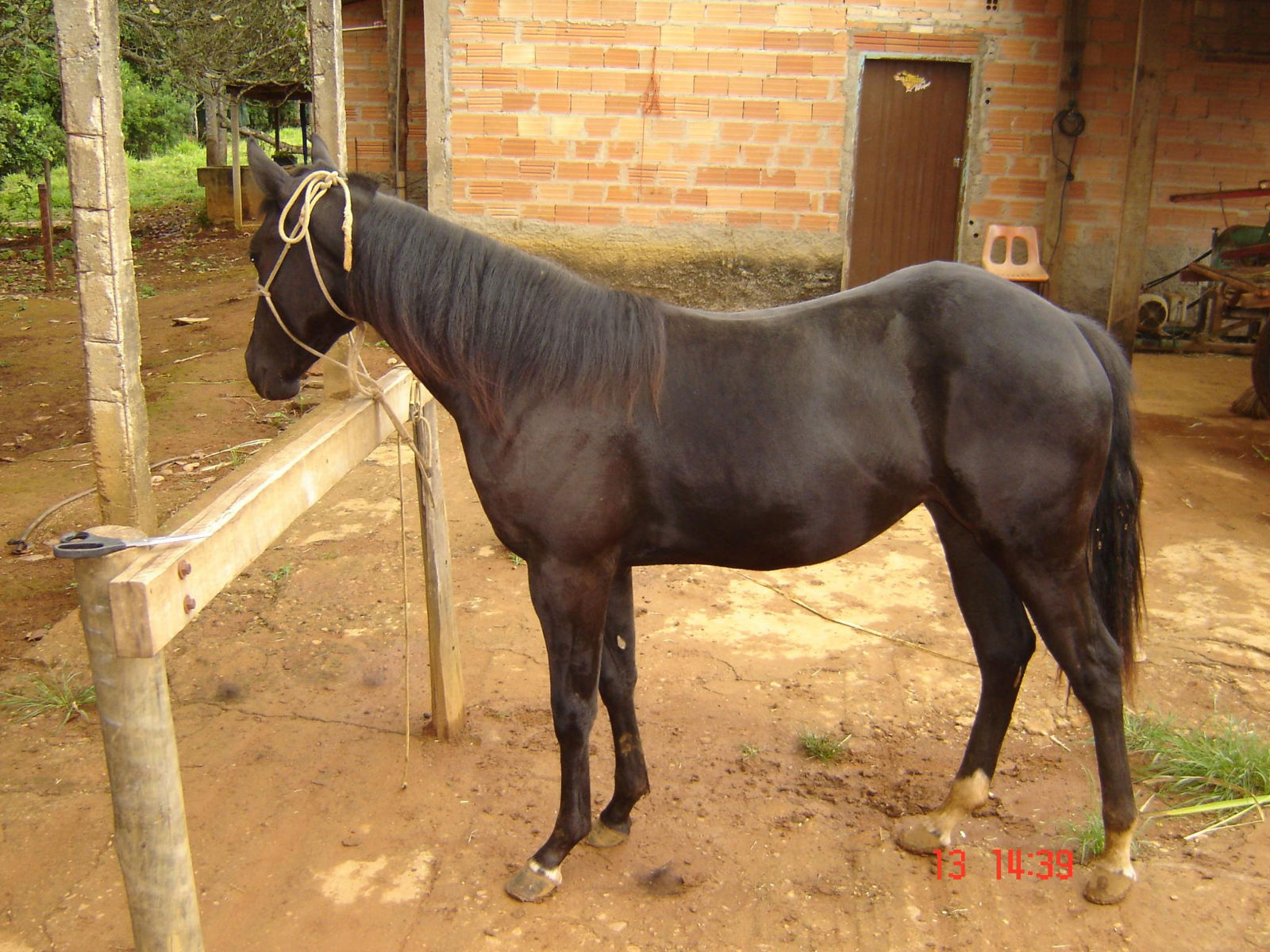 Sem nome Informado - 12119