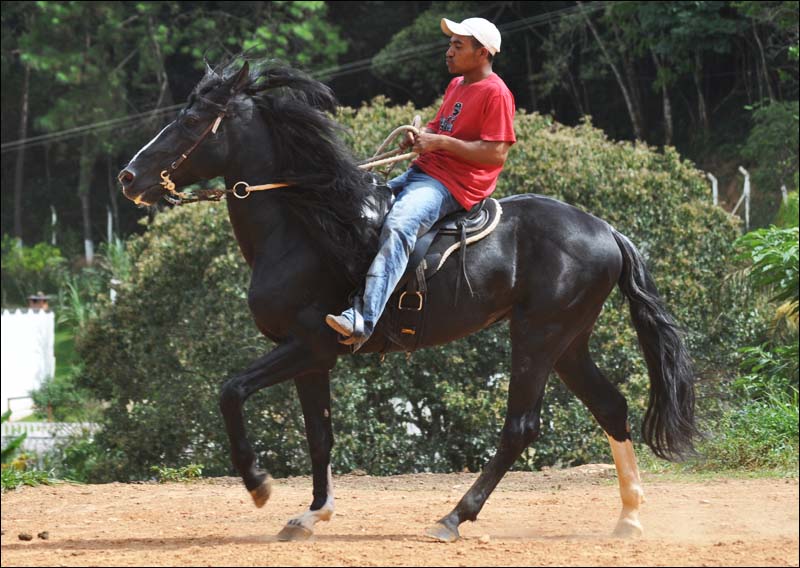 Sem nome Informado - 12013