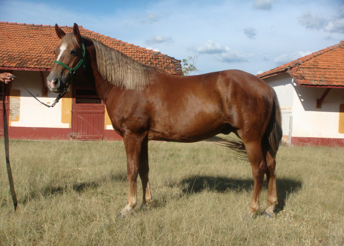 Sem nome Informado - 12003