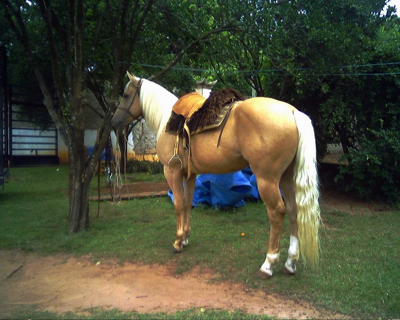 Sem nome Informado - 12001