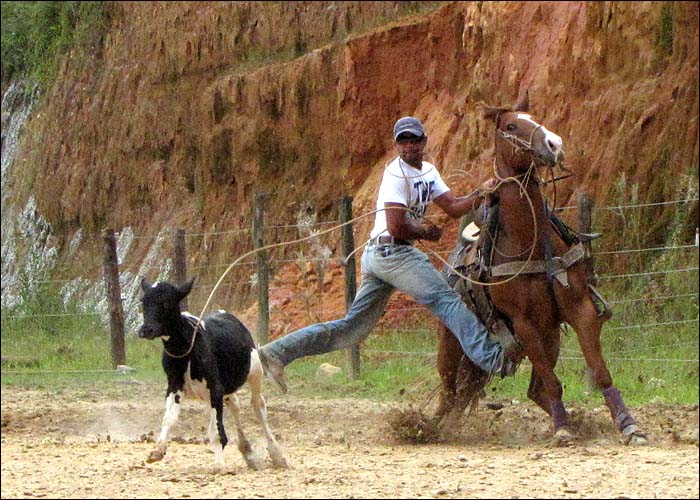 CARRERINHA DOC