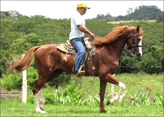 Sem nome Informado - 11822