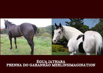JATHARA