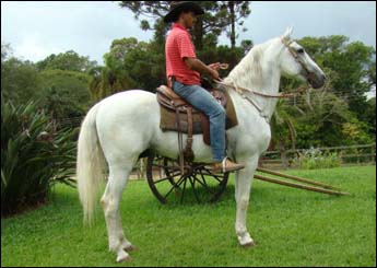 ESCORIEL TB