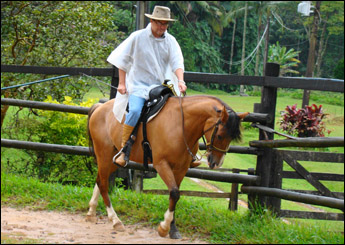 FARRAPO DA MANTIQUEIRA