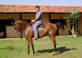 Sem nome Informado - 11562