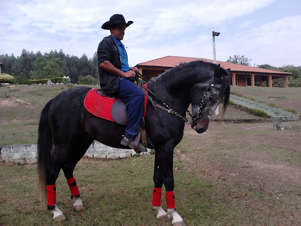 QUAZAR R. ESTRELA