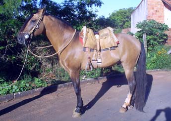 Sem nome Informado - 11201
