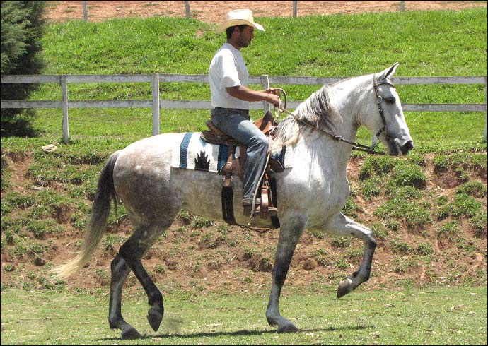 Sem nome Informado - 11116