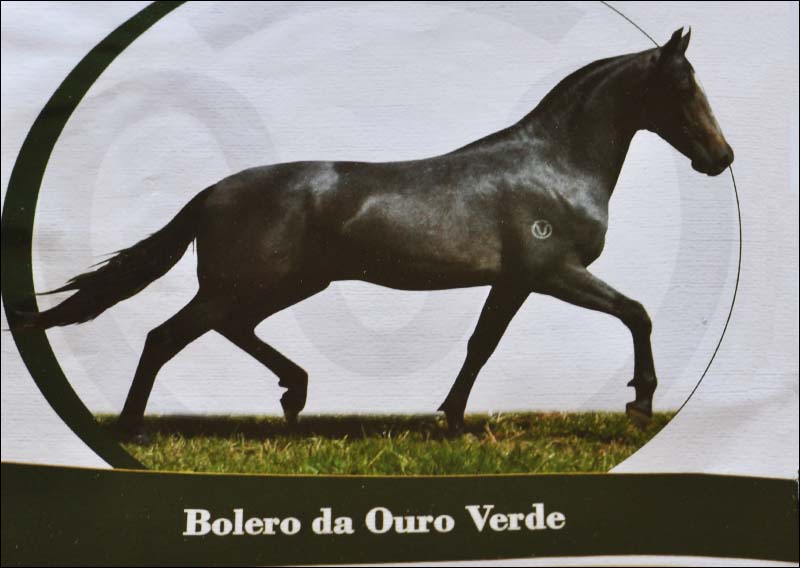 Sem nome Informado - 11096