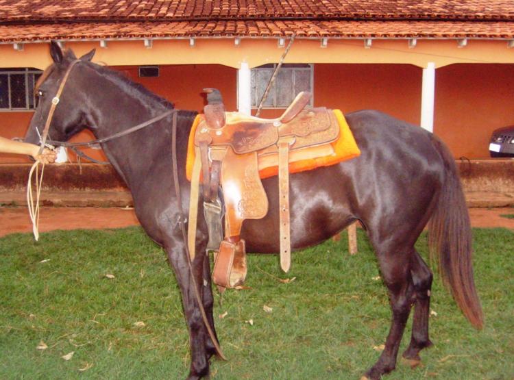 Sem nome Informado - 11094