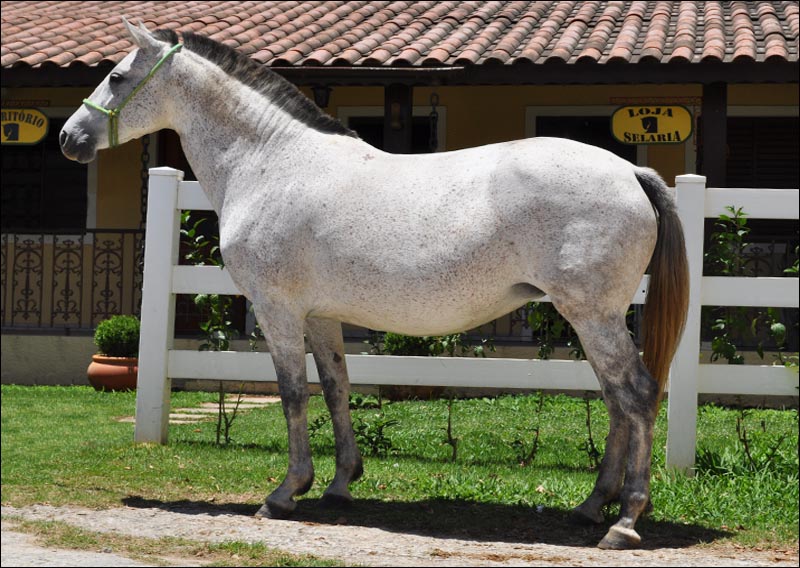 URRA DO RECREIO