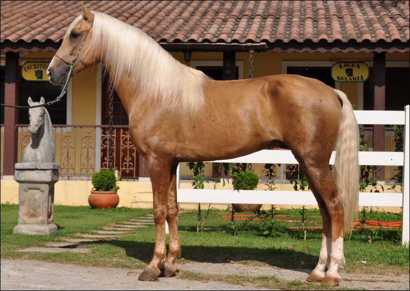 BALBOA DO PASSARGADA