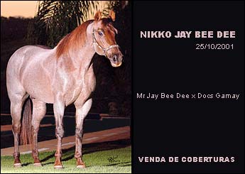 NIKKO JAY BEE DEE