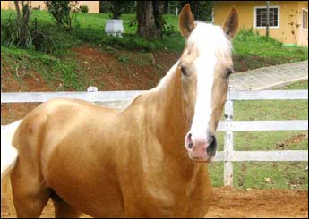OESTE RA
