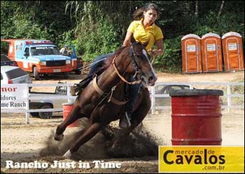 Sem nome Informado - 10771