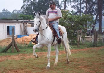 Sem nome Informado - 10733
