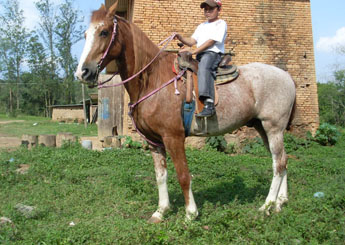 ELEGANTE DO ZANTUN