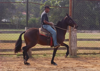 MANDRAQUE DO RC