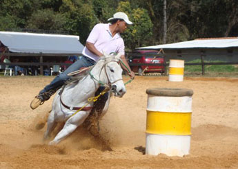 ZINGARA LEO RJB