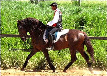 FALUE DO XAPORI