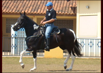 JASMINE DO JAÓ