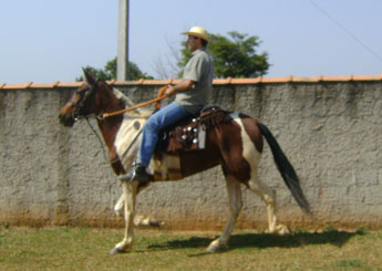 LABAREDA DA SANTA LUZIA