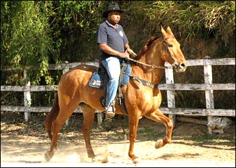 LAREDO DA CONQUISTA