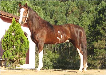 ROCHEDO DA ESMERALDA