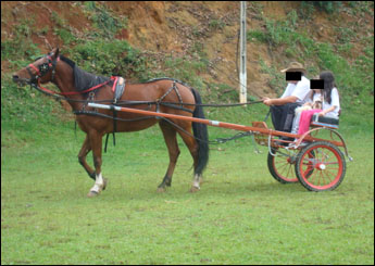 Sem nome Informado - 9843