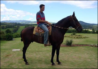 CAXAMBÚ ALMIRANTE