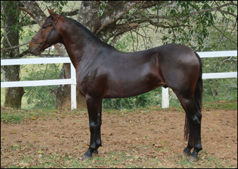 URUPÊ C.P.