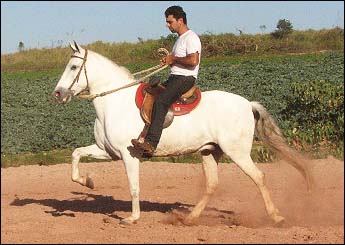 CAXAMBU UMBU