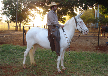 BARONEZA RR