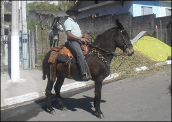 RIO NEGRO